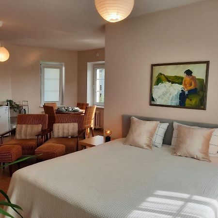 Seimos Bustas Homestay Шяуляй Екстер'єр фото