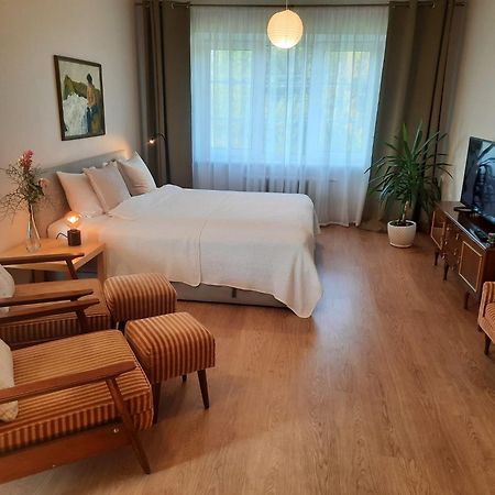 Seimos Bustas Homestay Шяуляй Екстер'єр фото
