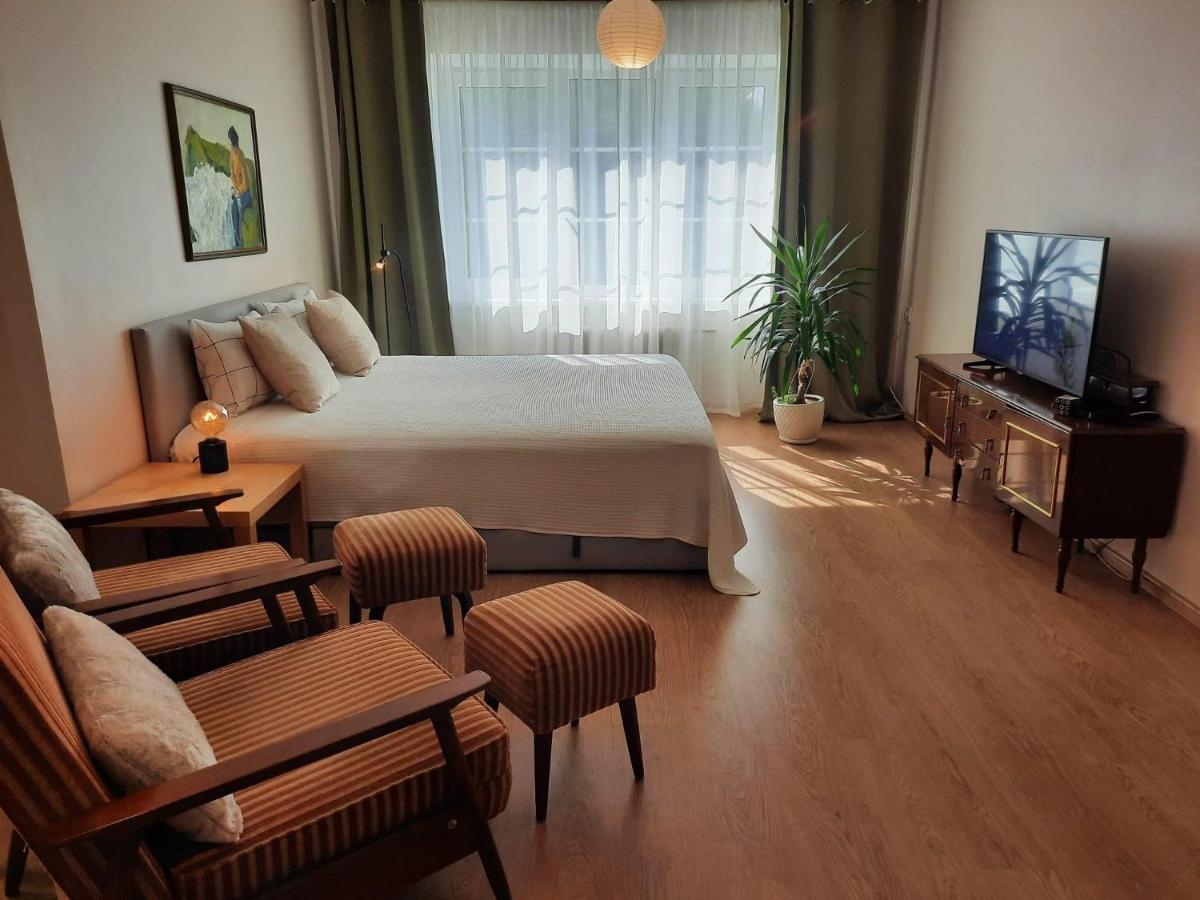 Seimos Bustas Homestay Шяуляй Екстер'єр фото